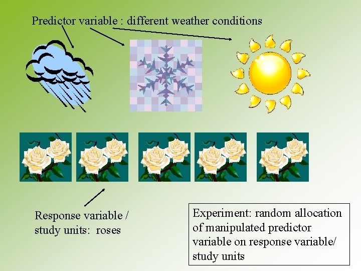 Predictor variable : different weather conditions Response variable / study units: roses Experiment: random