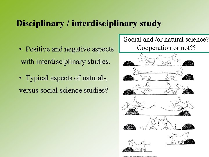 Disciplinary / interdisciplinary study • Positive and negative aspects with interdisciplinary studies. • Typical