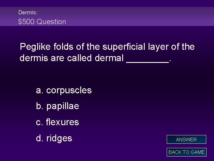 Dermis: $500 Question Peglike folds of the superficial layer of the dermis are called