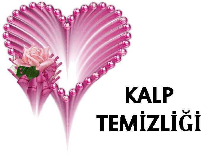 KALP TEMİZLİĞİ 