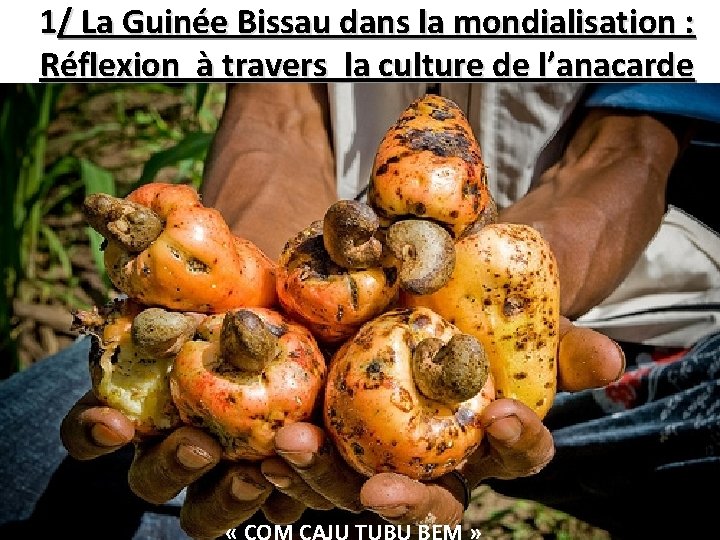 1/ La Guinée Bissau dans la mondialisation : Réflexion à travers la culture de