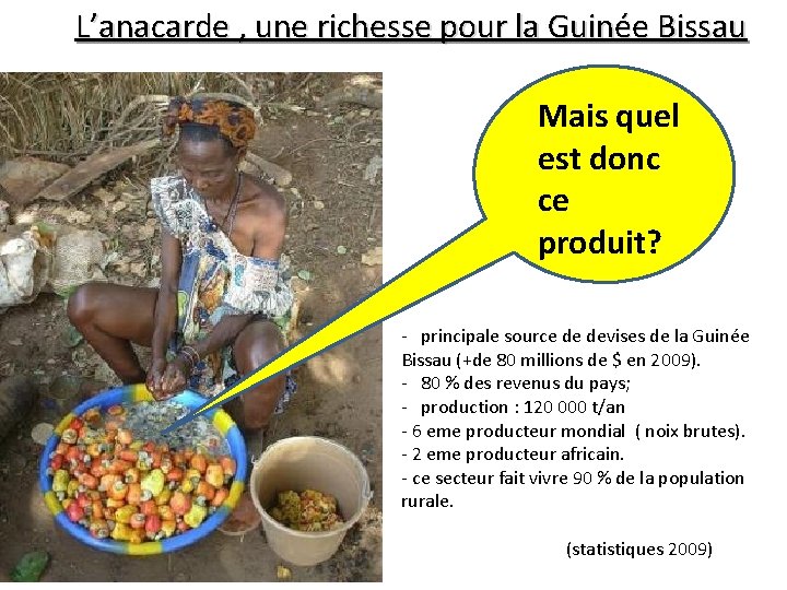 L’anacarde , une richesse pour la Guinée Bissau Mais quel est donc ce produit?