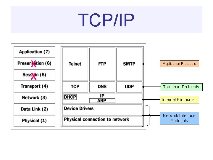 TCP/IP X X Application Protocols Transport Protocols Internet Protocols Network Interface Protocols 