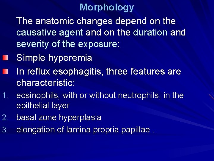 Morphology The anatomic changes depend on the causative agent and on the duration and