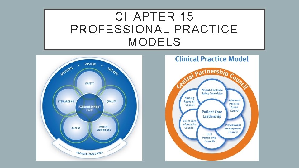 CHAPTER 15 PROFESSIONAL PRACTICE MODELS 