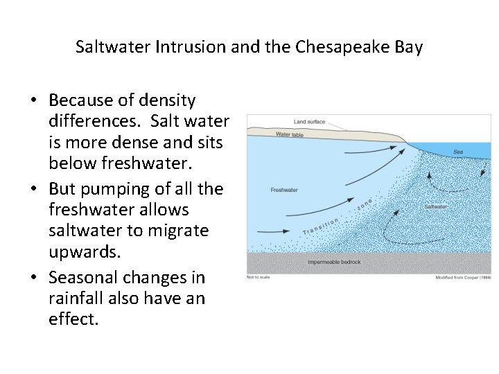 Saltwater Intrusion and the Chesapeake Bay • Because of density differences. Salt water is