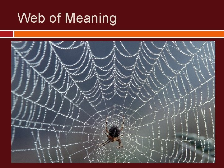 Web of Meaning 