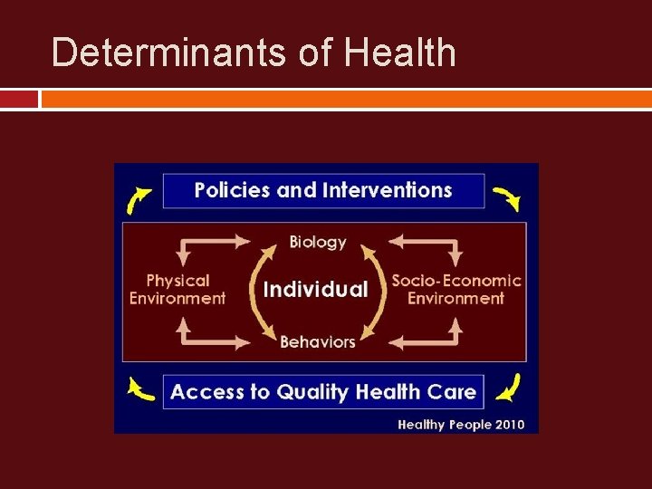 Determinants of Health 