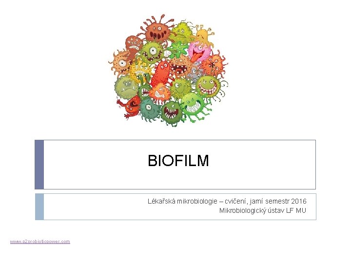 BIOFILM Lékařská mikrobiologie – cvičení, jarní semestr 2016 Mikrobiologický ústav LF MU www. p