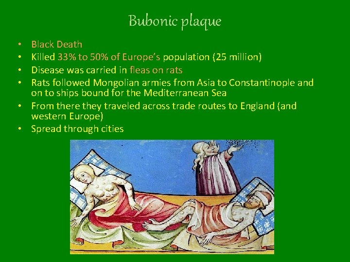 Bubonic plaque Black Death Killed 33% to 50% of Europe’s population (25 million) Disease