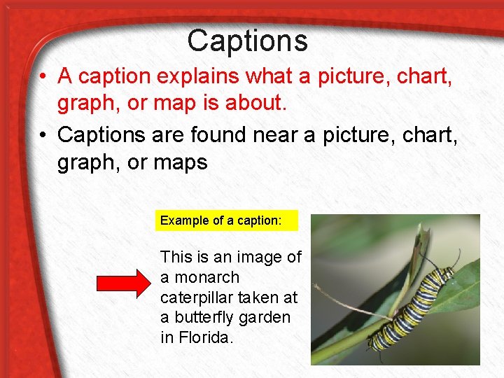 Captions • A caption explains what a picture, chart, graph, or map is about.
