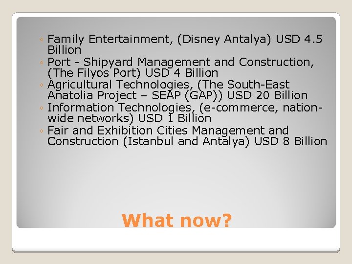 ◦ Family Entertainment, (Disney Antalya) USD 4. 5 Billion ◦ Port - Shipyard Management