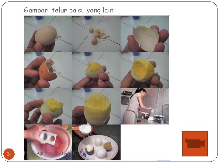 Gambar telur palsu yang lain 24 PPHP Agribisnis 2016 -2017 