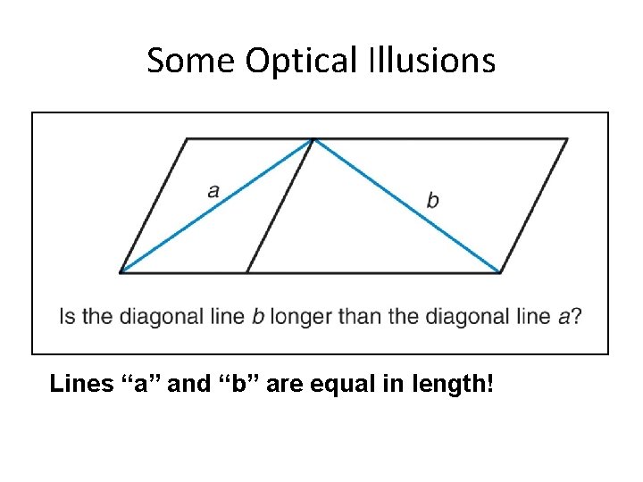 Some Optical Illusions Lines “a” and “b” are equal in length! Section 1. 3