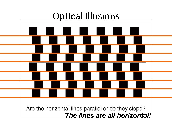 Optical Illusions The lines are all horizontal! Section 1. 3 