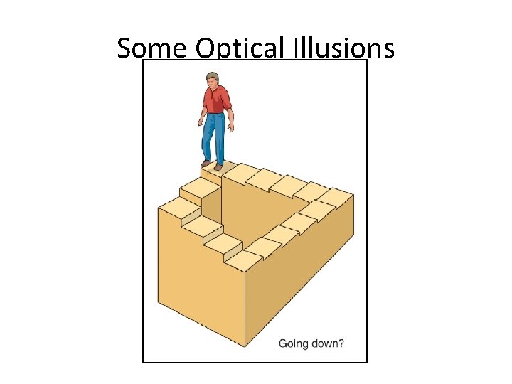 Some Optical Illusions Section 1. 3 