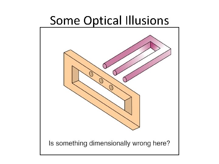 Some Optical Illusions Section 1. 3 