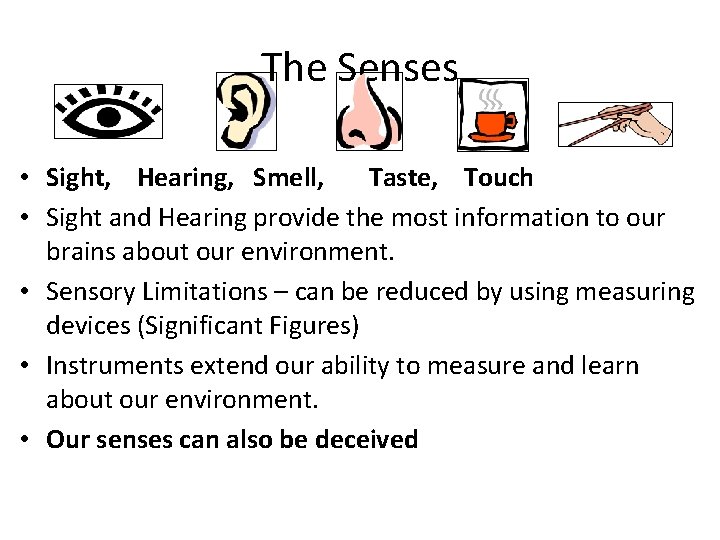The Senses • Sight, Hearing, Smell, Taste, Touch • Sight and Hearing provide the