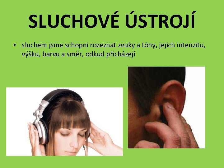 SLUCHOVÉ ÚSTROJÍ • sluchem jsme schopni rozeznat zvuky a tóny, jejich intenzitu, výšku, barvu