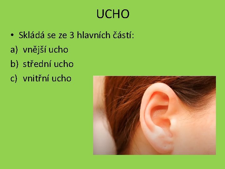 UCHO • Skládá se ze 3 hlavních částí: a) vnější ucho b) střední ucho