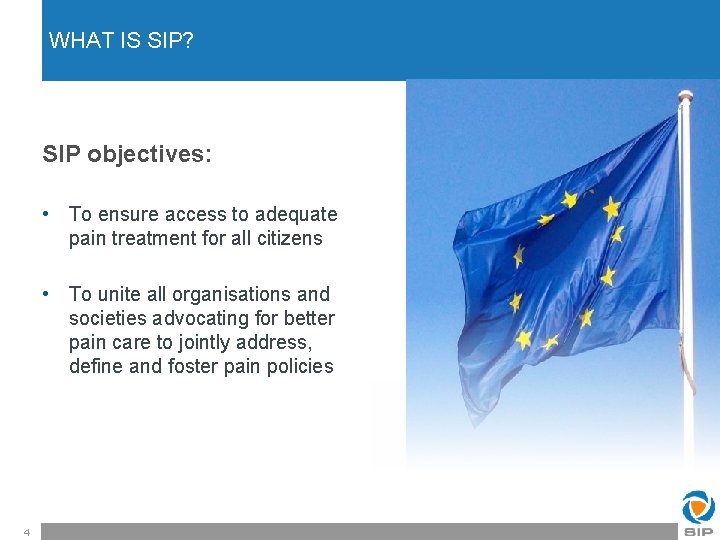 WHAT IS SIP? SIP objectives: • To ensure access to adequate pain treatment for
