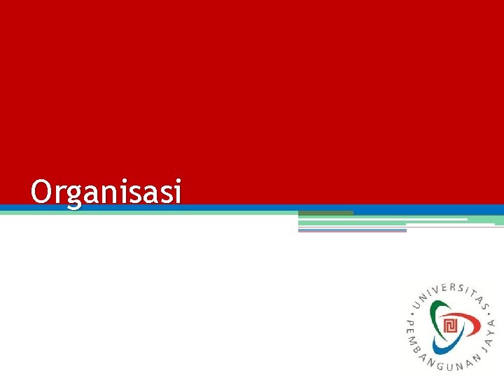 Organisasi 