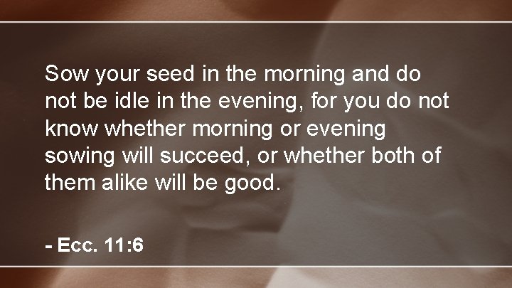 Sow your seed in the morning and do not be idle in the evening,