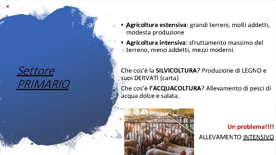  • Agricoltura estensiva: grandi terreni, molti addetti, modesta produzione • Agricoltura intensiva: sfruttamento