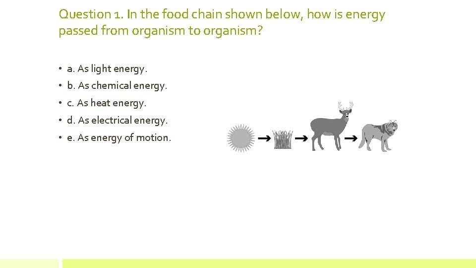 Question 1. In the food chain shown below, how is energy passed from organism