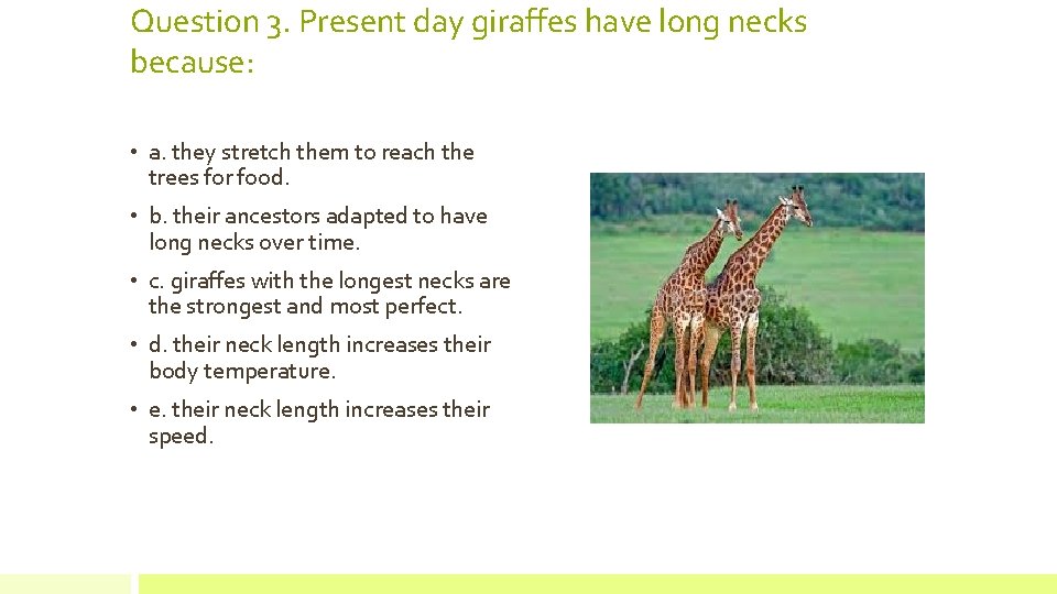 Question 3. Present day giraffes have long necks because: • a. they stretch them