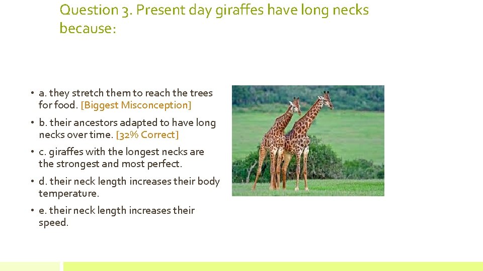 Question 3. Present day giraffes have long necks because: • a. they stretch them