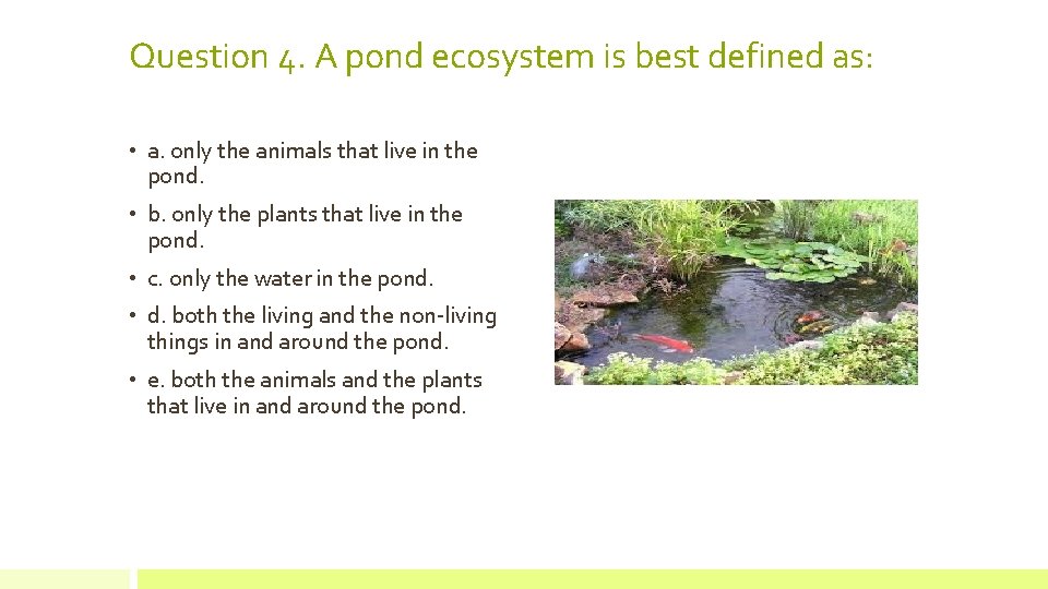 Question 4. A pond ecosystem is best defined as: • a. only the animals