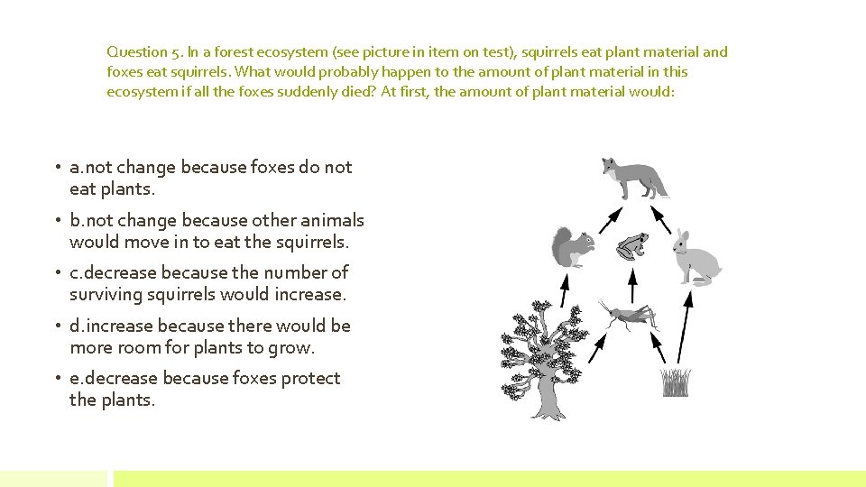 Question 5. In a forest ecosystem (see picture in item on test), squirrels eat