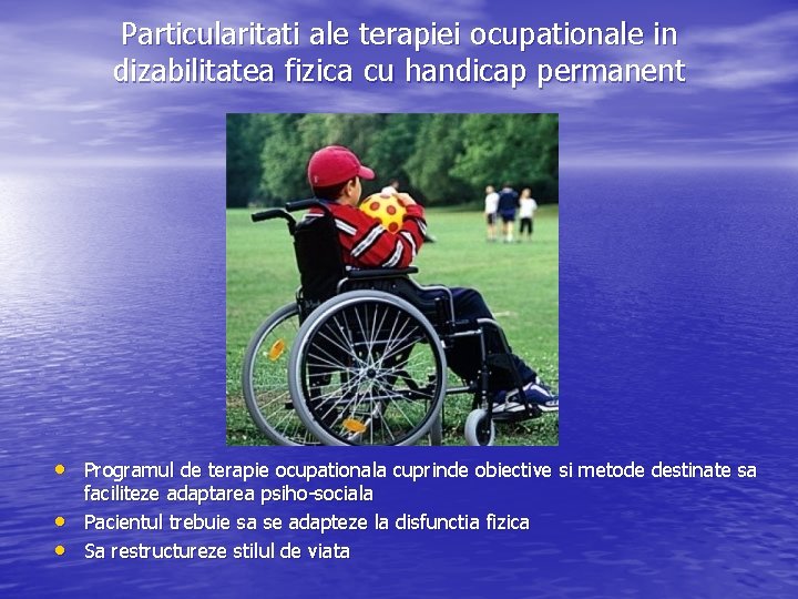 Particularitati ale terapiei ocupationale in dizabilitatea fizica cu handicap permanent • Programul de terapie