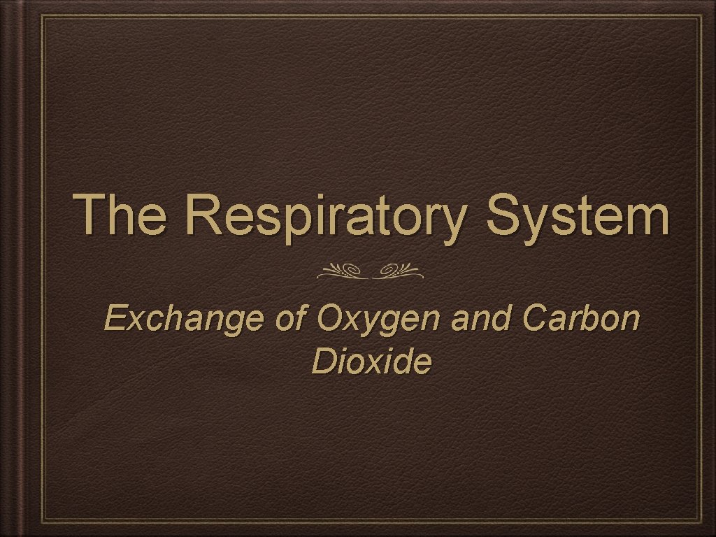 The Respiratory System Exchange of Oxygen and Carbon Dioxide 