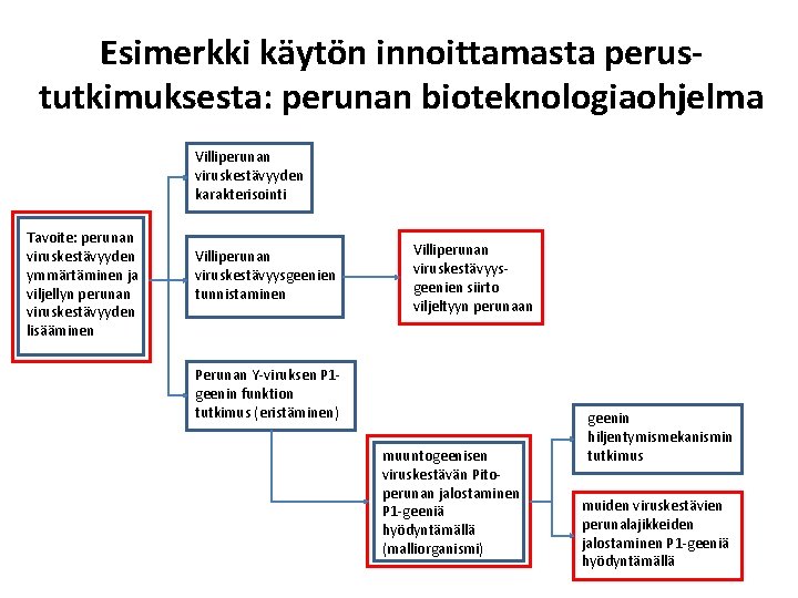 Esimerkki käytön innoittamasta perustutkimuksesta: perunan bioteknologiaohjelma Villiperunan viruskestävyyden karakterisointi Tavoite: perunan viruskestävyyden ymmärtäminen ja