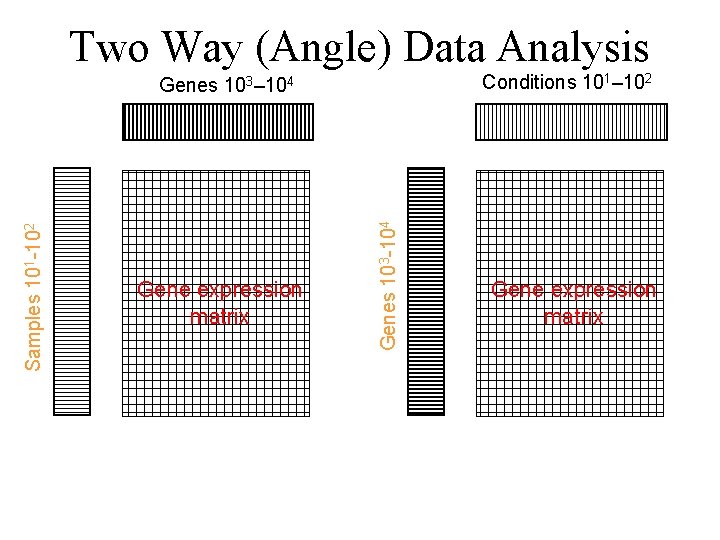 Two Way (Angle) Data Analysis Conditions 101– 102 Gene expression matrix Sample space analysis