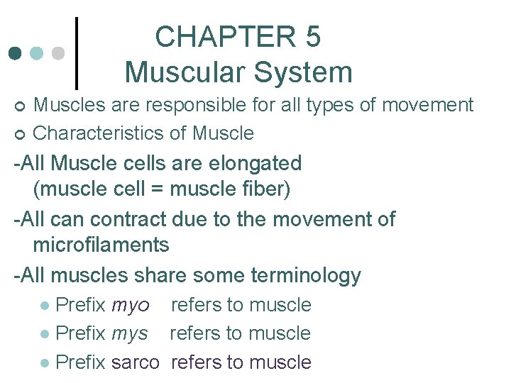 CHAPTER 5 Muscular System ¢ ¢ Muscles are responsible for all types of movement