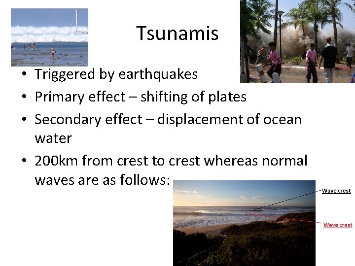 Tsunamis • Triggered by earthquakes • Primary effect – shifting of plates • Secondary