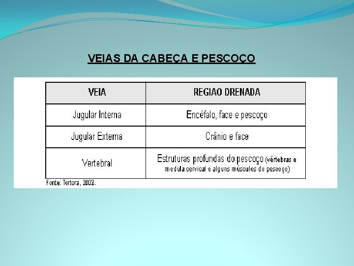 VEIAS DA CABEÇA E PESCOÇO 