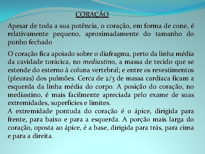 CORAÇÃO Apesar de toda a sua potência, o coração, em forma de cone, é