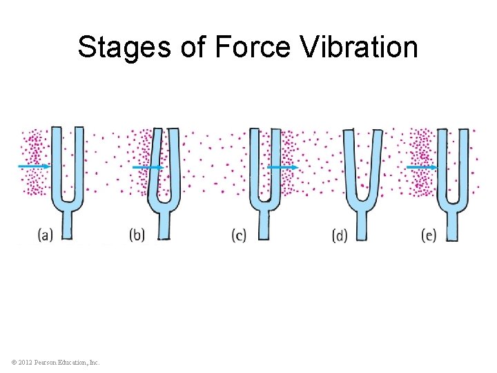 Stages of Force Vibration © 2012 Pearson Education, Inc. 