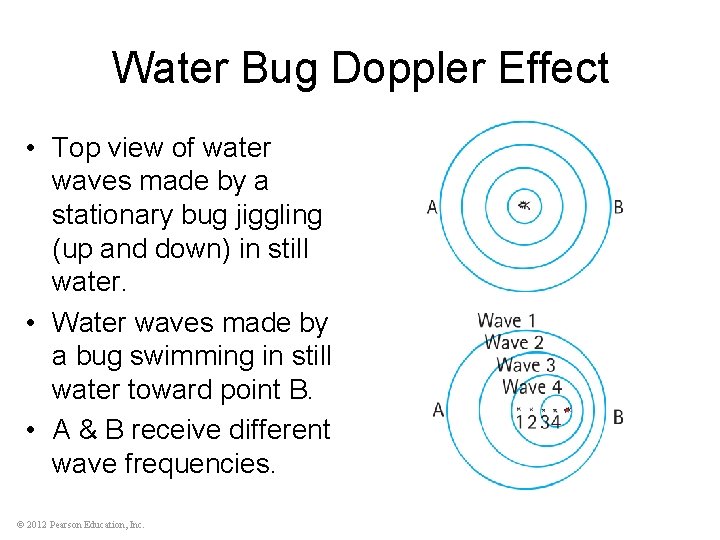 Water Bug Doppler Effect • Top view of water waves made by a stationary