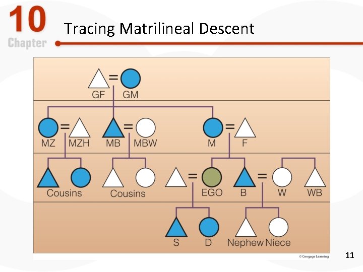 Tracing Matrilineal Descent 11 