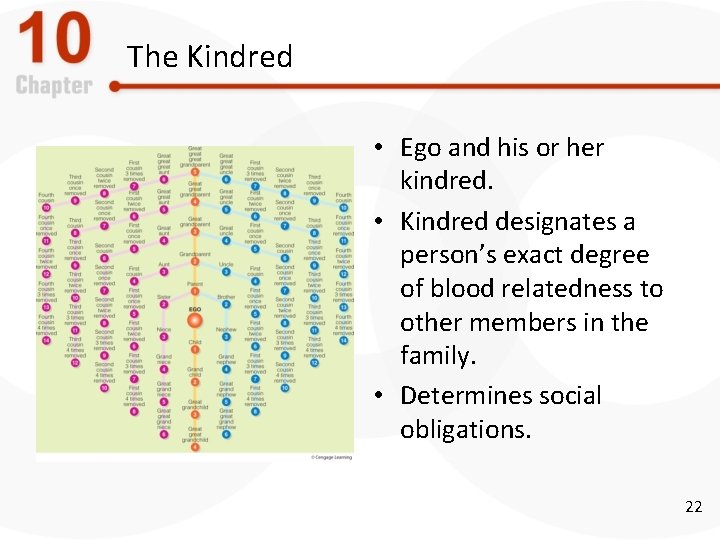 The Kindred • Ego and his or her kindred. • Kindred designates a person’s