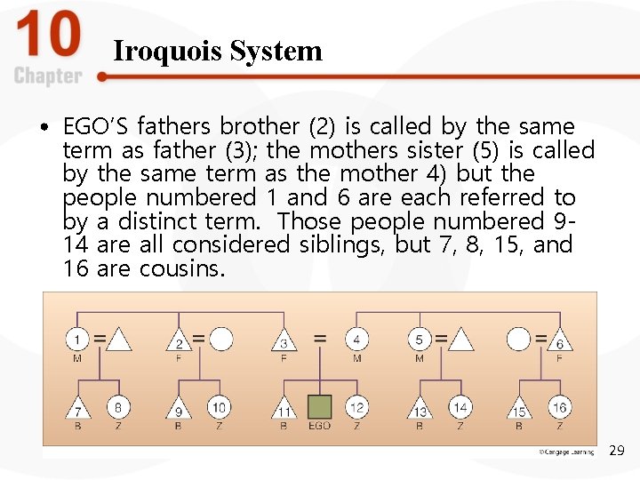 Iroquois System • EGO’S fathers brother (2) is called by the same term as