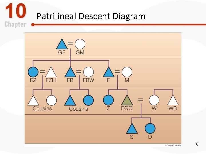 Patrilineal Descent Diagram 9 