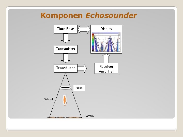 Komponen Echosounder Time Base Display Transmitter Receiver Amplifier Transducer Pulse School Bottom 