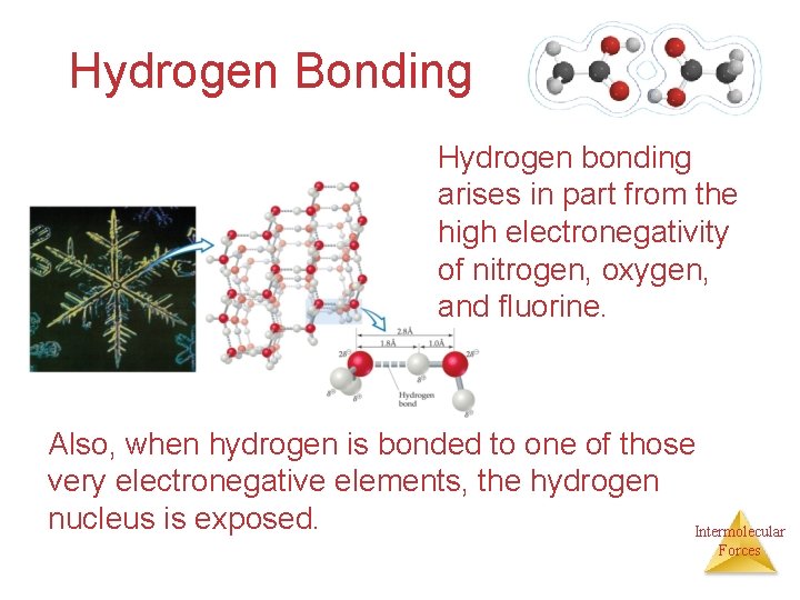 Hydrogen Bonding Hydrogen bonding arises in part from the high electronegativity of nitrogen, oxygen,