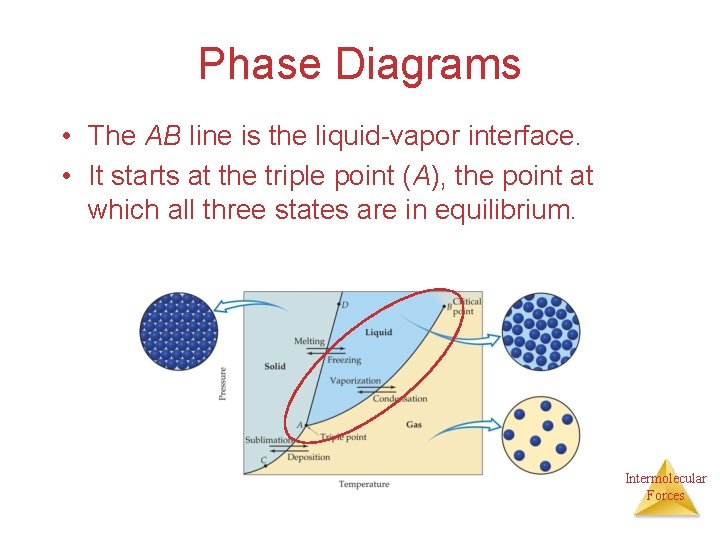 Phase Diagrams • The AB line is the liquid-vapor interface. • It starts at